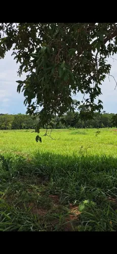 LOTEAMENTO BRISAS DO SUL - VENDO ÁGIO
