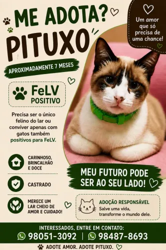 Adoção Responsável 