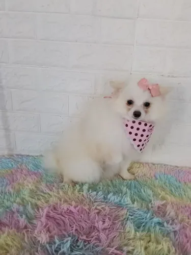 Mocinhas Luluzinhas prontas para te amar!!!