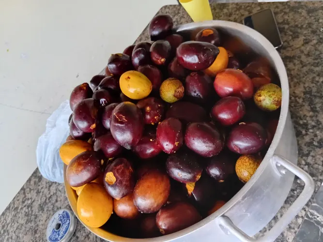 Vende- se mari do bom