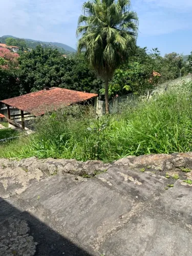 Serviços free lancer