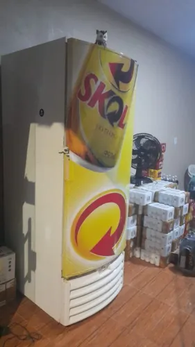 Cervejeiro