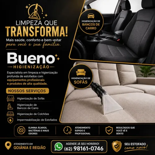 ? Higienização Profissional de Estofados Automotivos e Sofás ?