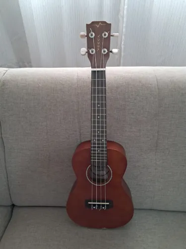 Ukulele concert Vogga