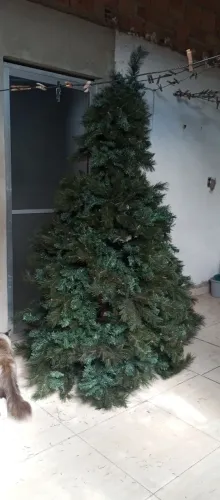 Vendo árvore de natal