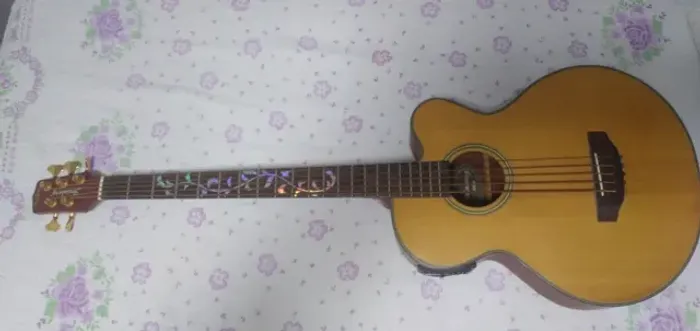 Baixolão Strinberg ba 55 - 5 cordas com tarraxas gotoh
