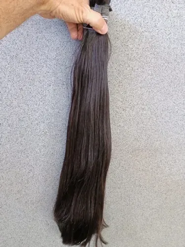 Castanhos Vietnamita de 60 cm 