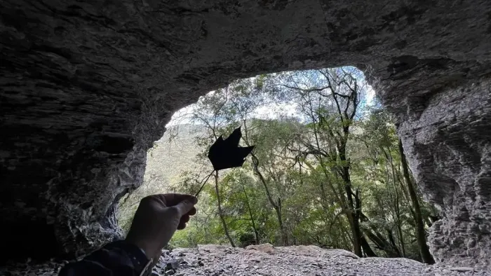 2 hectares com cachoeira situado à 4 Km do centro de Urubici, na serra catarinense