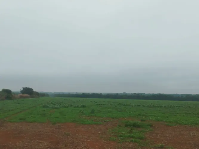 Fazenda 5.000hect em Brasnorte MT. 200 milhões.