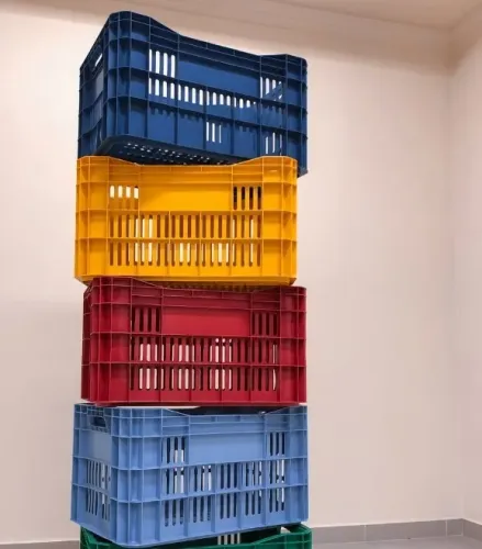 Caixas Plásticas para organização Vendas Diretas da fábrica
