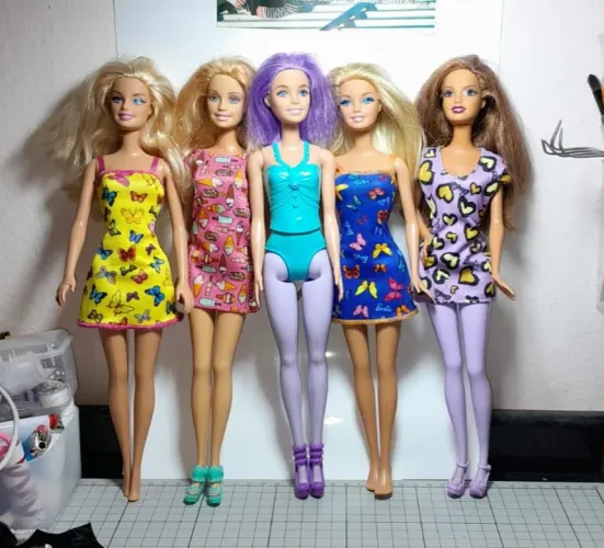 Lote Barbies