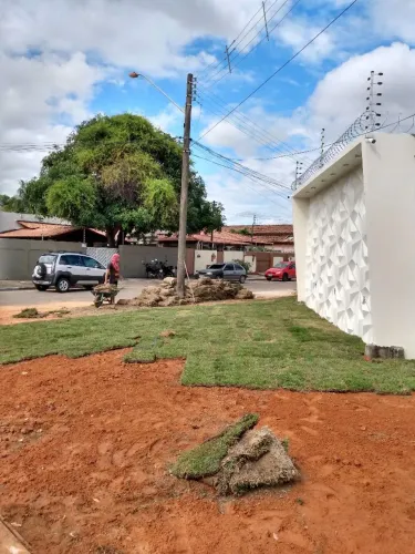 Grama esme Instalada e Jardinagem