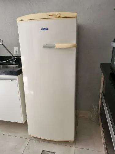 Freezer vertical 110v