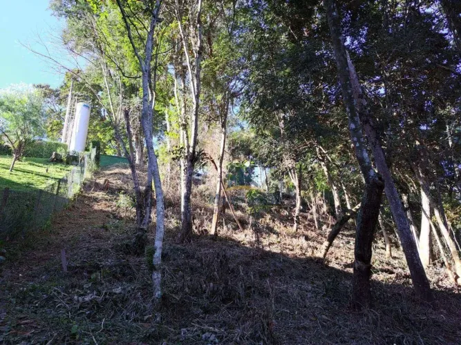 Terreno à venda por R$ 295.000,00 - Nogueira - Petrópolis/RJ