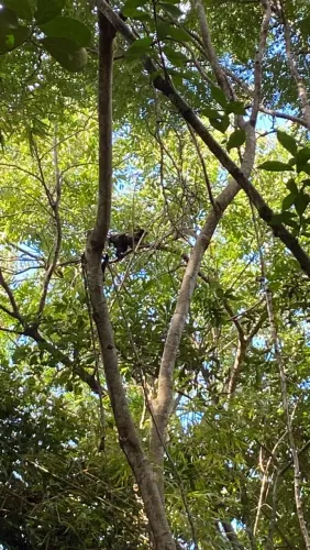 Chácara em roda d? água, Cariacica
