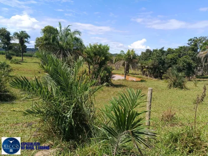 Fazenda à Venda em Arenópolis GO | 49 Alqueires | Beira do Rio Caiapó