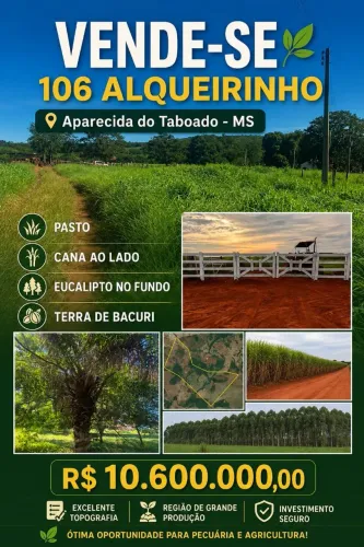 Fazenda em Aparecida do Taboado 