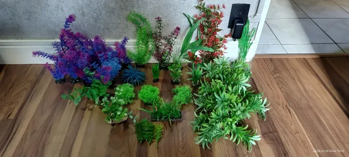 Pedras e plantas ornamentais, diversas cores e tamanhos