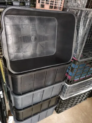 Caixas organizadora..