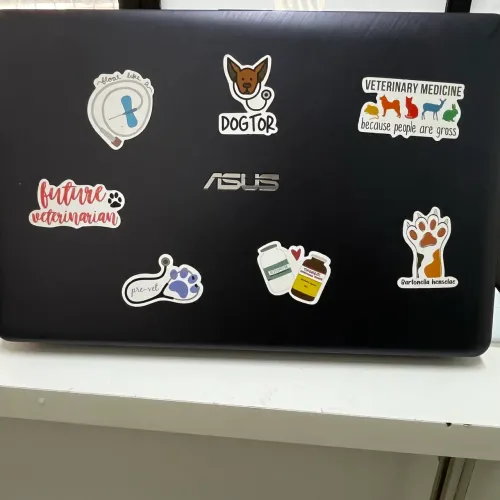 Notebook Asus