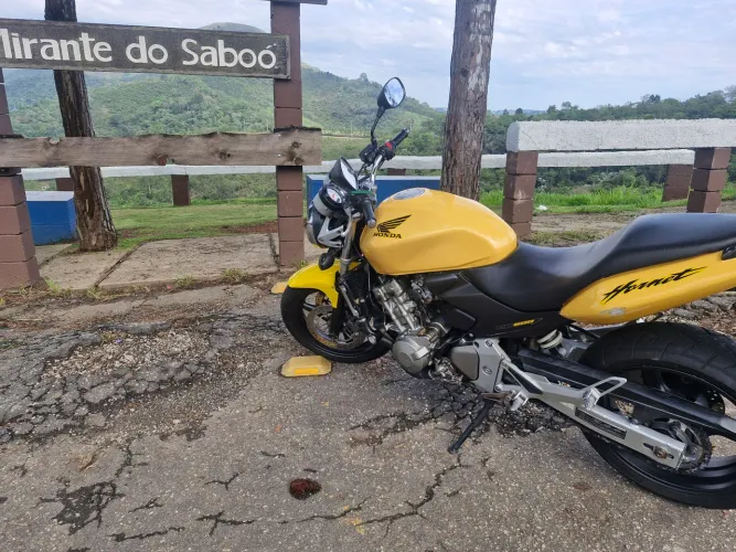 Hornet carburada 