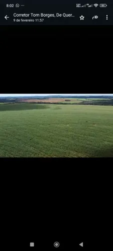 Fazenda arrendamento 1.850 hec em torixoreu MT.