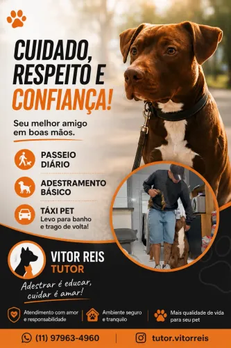 Passeio e adestramento de cães pequeno e médio porte