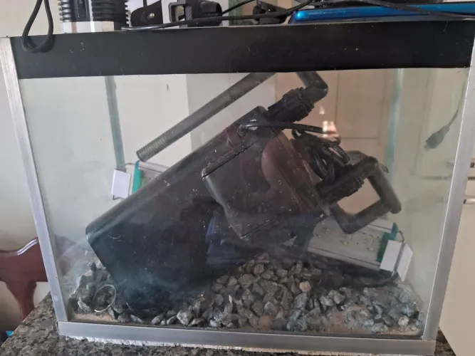 VENDE-SE AQUÁRIO COMPLETO