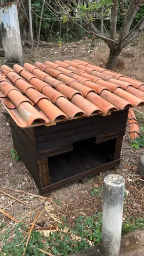 Casa para cachorro de madeira com telha colonial