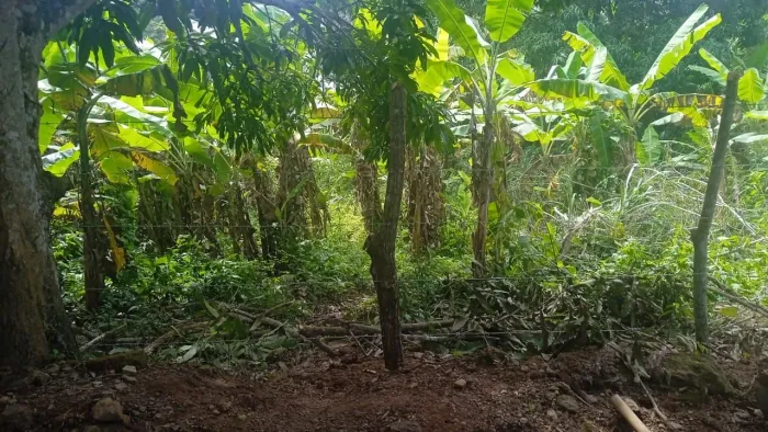 Sítio