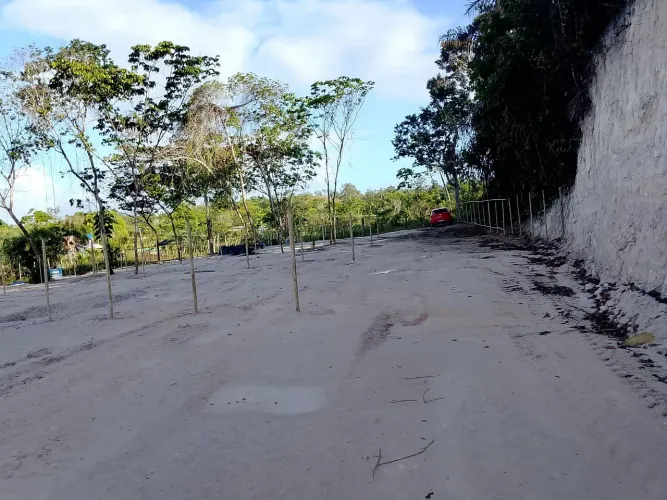 Terreno
