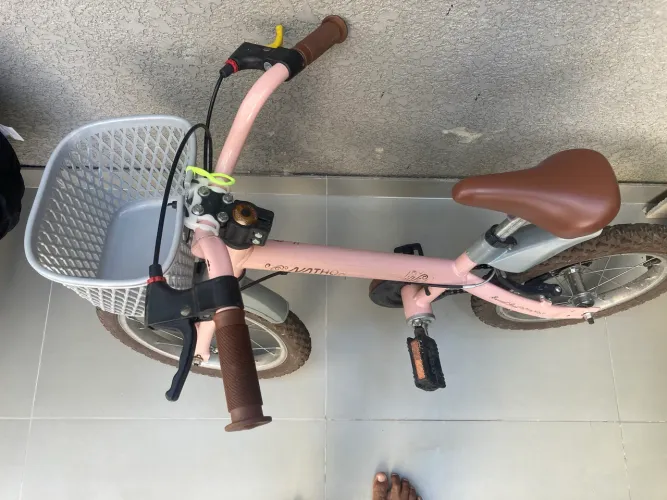 Bicicleta infantil 250 
