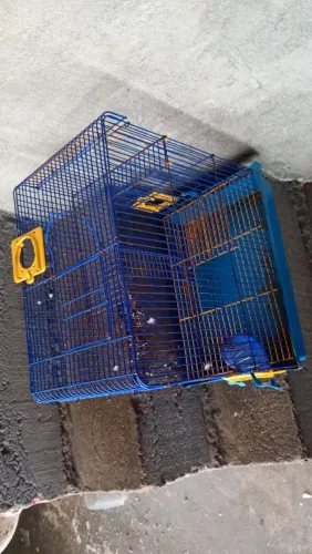 Vendo gaiola para hamster