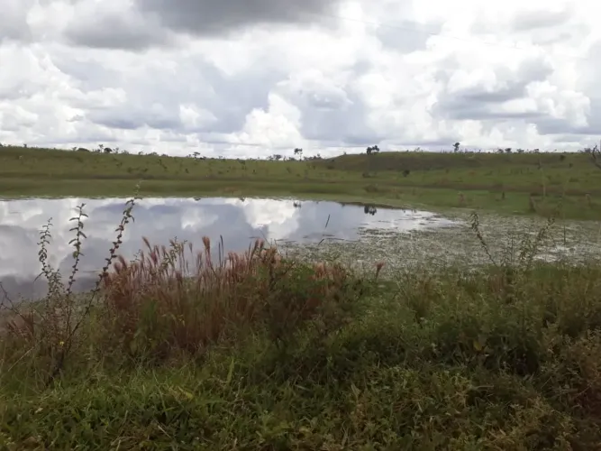 Fazendinhas 20.000m2 Com Lagoa, Água, Luz e Cerca para venda em Zona Rural - Araçaí - MG