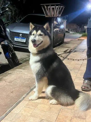 Em busca de um namorado