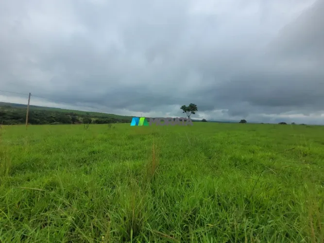 FAZENDA À VENDA - 108 HECTARES - ABAETÉ (MG)