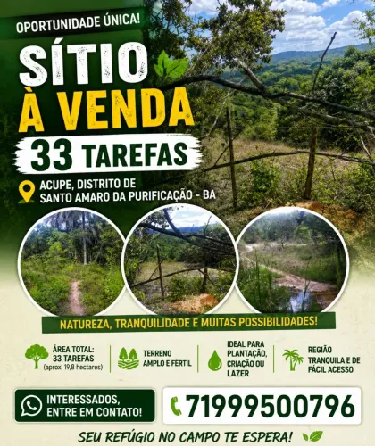Sitio Acupe Santo Amaro 33 tarefas