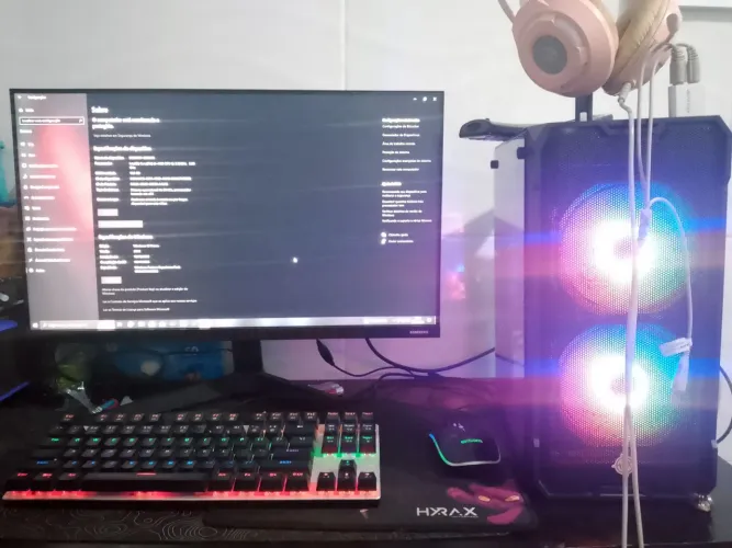 PC gamer