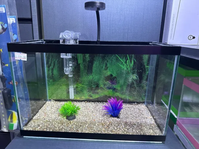Aquário vidro novo completo com filtro e luminária de led