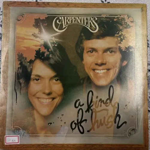 DISCO LP CARPETERS