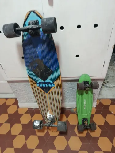 Vendo skates modelo longboard e skate modelo mini cruser(estilo Penny bord).