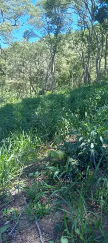 terreno 20 mil m2 com mata nativa em Piracaia SP