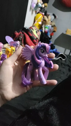 My little pony equestria girls Twilight