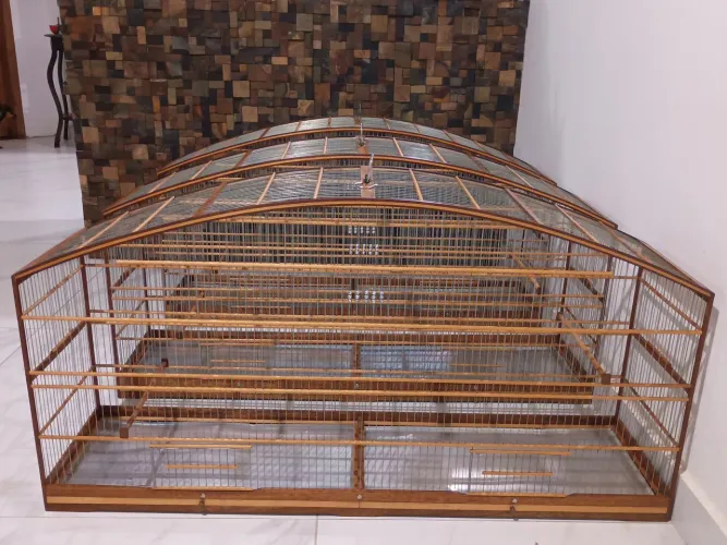 Vendo três voadores idênticos 650 cada