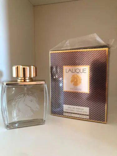 Lalique Equus