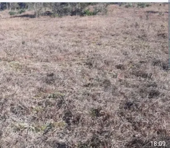 Oportunidade! Vende-se uma excelente terra de 32 alqueires.