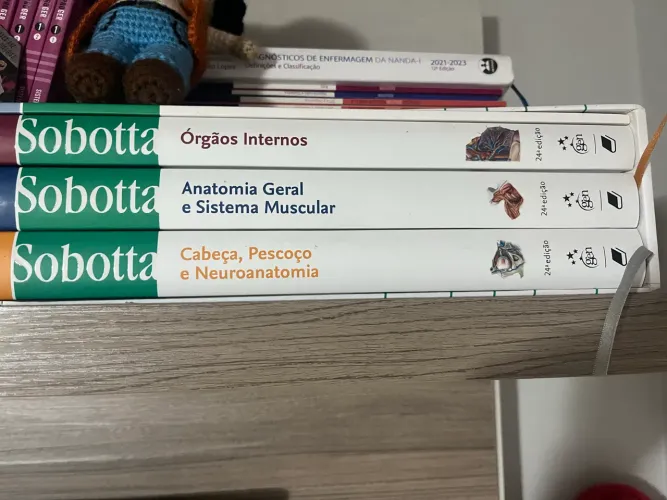 Atlas de anatomia Sobotta 24 edição 