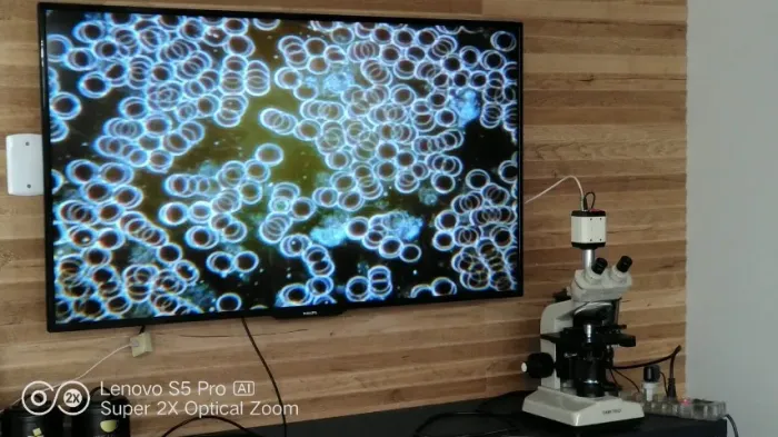 Microscopio de campo escuro 
