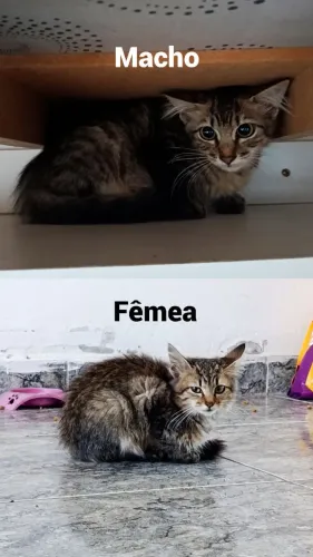 Doação