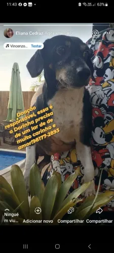 Doação responsável 